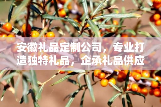 安徽礼品定制公司，专业打造独特礼品，企承礼品供应链助力商务发展